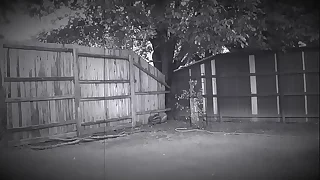 890 outdoor porn videos